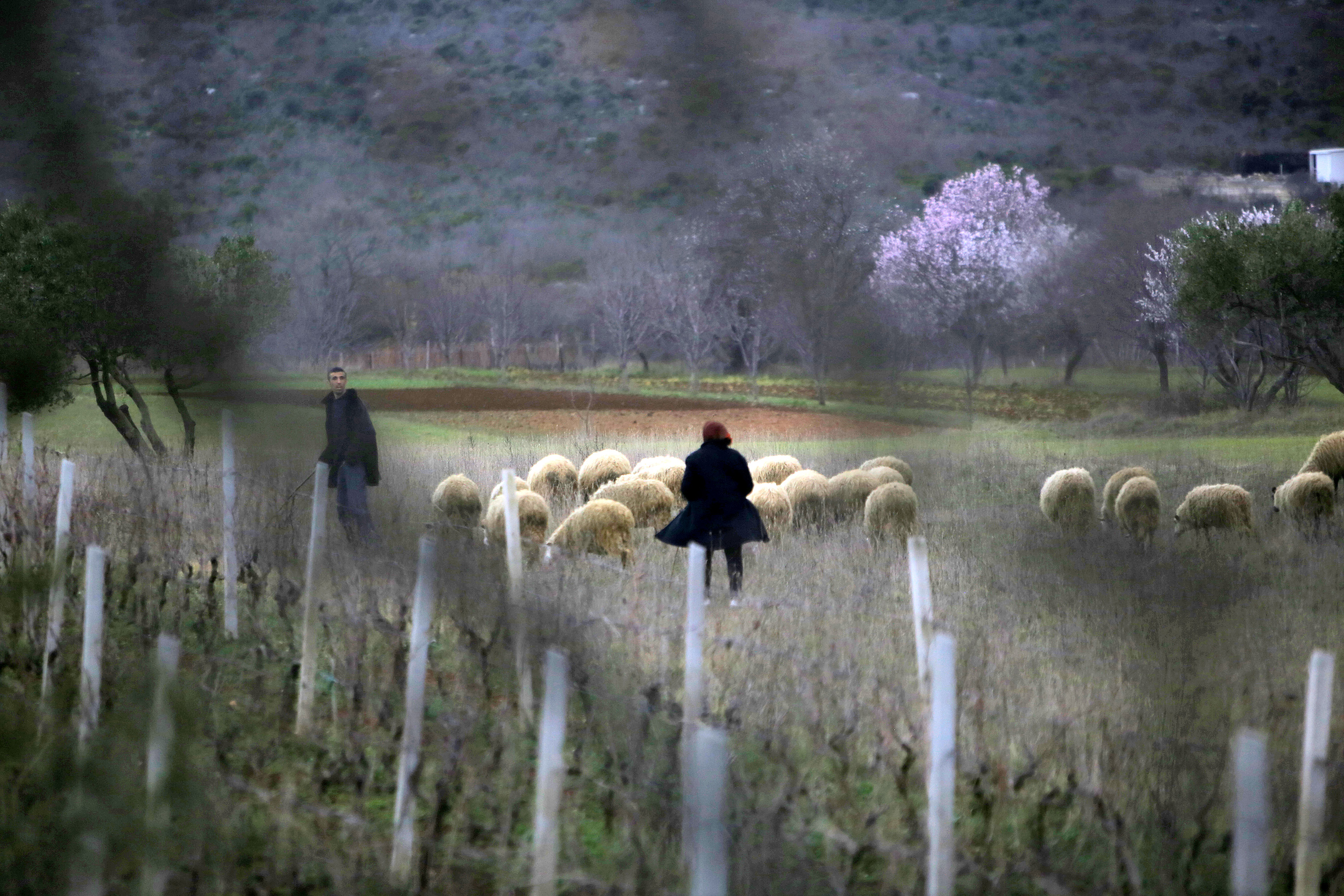 Mediji i uzvanici posjetili Polaču, Vransko jezero i Maškovića han