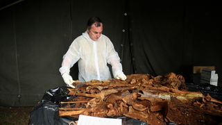 Zadar, 020513.
Gradsko groblje. 
Ministarstvo branitelja je na Gradskom groblju u Zadru predstavilo rezultate ekshumacije posmrtnih ostataka zrtava srpske nacionalnosti koje su stradale u Domovinskom ratu 1995. godine. 
Foto: Jure Miskovic / CROPIX