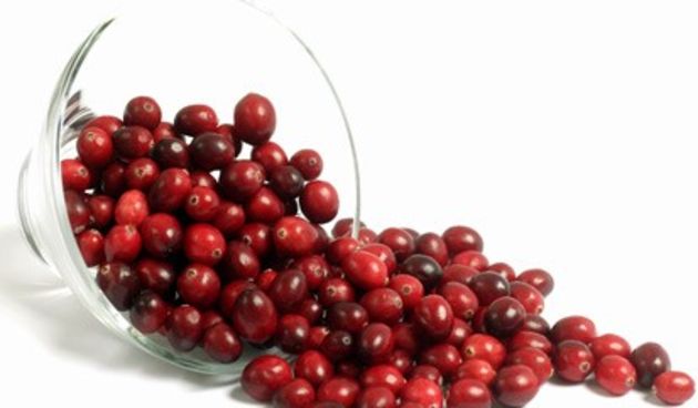 brusnice (foto: abcnews.go.com)