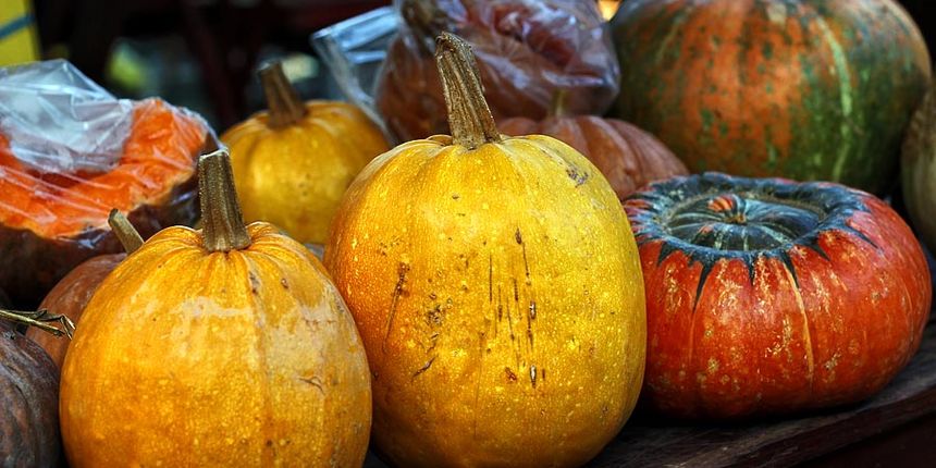 Đir po gradu 31. listopada, foto: Iva Perinčić, bundeva, bundeve Đir po gradu 31. listopada, foto: Iva Perinčić, bundeva, bundeve