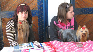 Image 1171055 (auto)