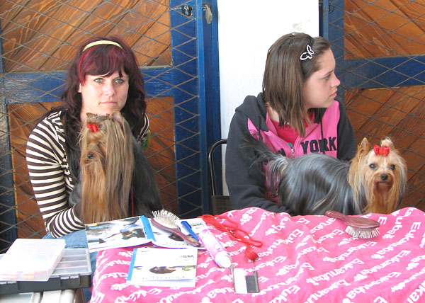 Image 1171055 (auto)