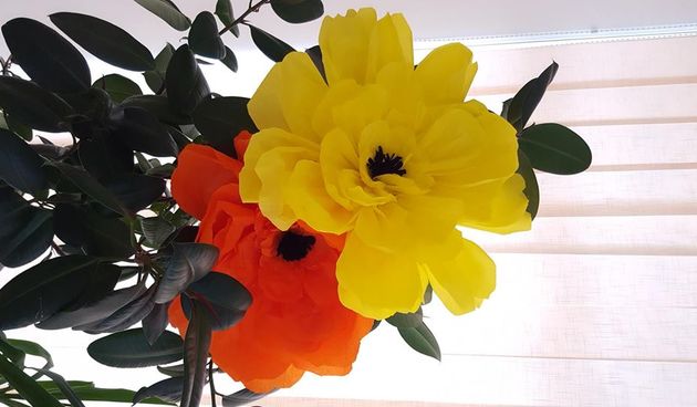 Društvo oboljelih od multiple skleroze Zadarske županije organizira radionicu “Cvijet za MS”