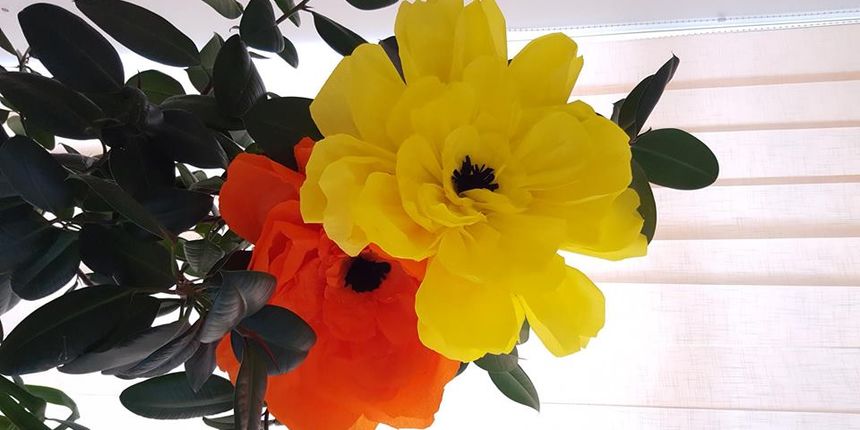 Društvo oboljelih od multiple skleroze Zadarske županije organizira radionicu “Cvijet za MS”