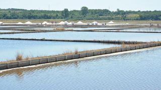 Nin – Povijesni gradic Nin pokraj Zadra za svoju prepoznatljivost ima nadaleko poznatu i najstariju hrvatsku solanu. Pod geslom “Prica o soli…” i dan danas se sol proizvodi na tradicionalan nacin. Photo: Damir Spehar/PIXSELL Nin – Povijesni gradic Nin pokraj Zadra za svoju prepoznatljivost ima nadaleko poznatu i najstariju hrvatsku solanu. Pod geslom “Prica o soli…” i dan danas se sol proizvodi na tradicionalan nacin. Photo: Damir Spehar/PIXSELL