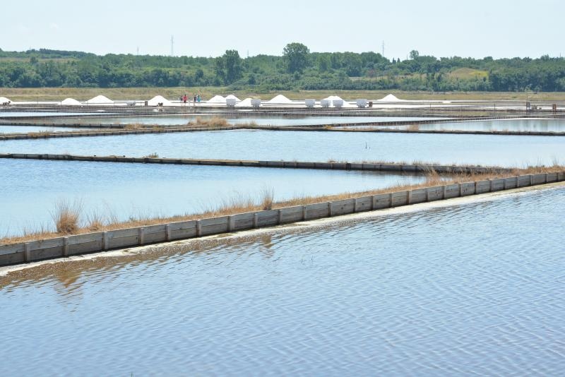 Nin – Povijesni gradic Nin pokraj Zadra za svoju prepoznatljivost ima nadaleko poznatu i najstariju hrvatsku solanu. Pod geslom “Prica o soli…” i dan danas se sol proizvodi na tradicionalan nacin. Photo: Damir Spehar/PIXSELL Nin – Povijesni gradic Nin pokraj Zadra za svoju prepoznatljivost ima nadaleko poznatu i najstariju hrvatsku solanu. Pod geslom “Prica o soli…” i dan danas se sol proizvodi na tradicionalan nacin. Photo: Damir Spehar/PIXSELL