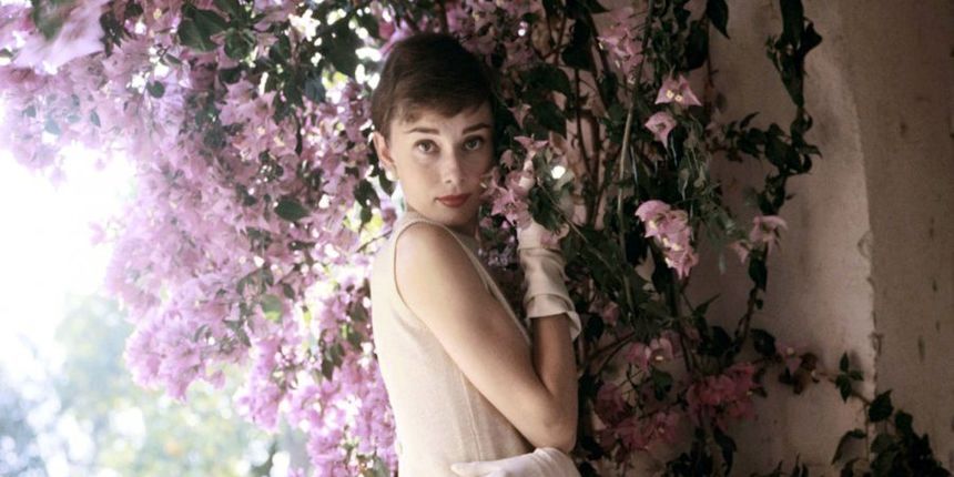 Audrey Hepburn Audrey Hepburn