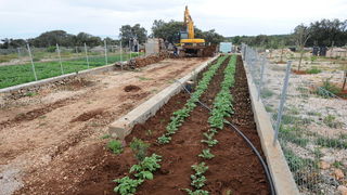 Vir, 060513.
Ministarstvo graditeljstva nastavilo je akciju uklanjanja bespravno sagradjenih objekata na otoku Viru. Danas su u uvali Srpljica rusena tri prizemna objekta i gusterna za vodu, a u narednim danima ce se ukloniti jos sest objekata.
Na fotogra