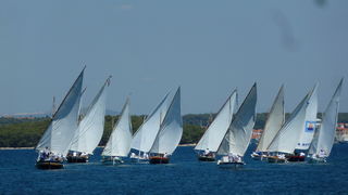 “Đir po konalu” 8. srpnja 2012, Foto: Danijel Katičin