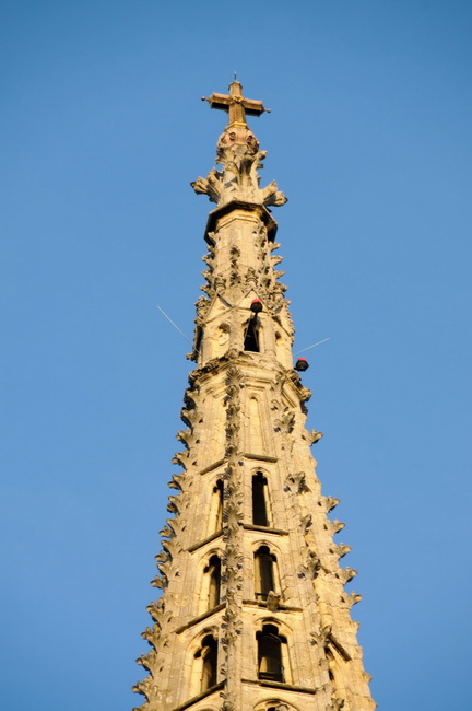 Hodocasce zupljana zupe Bl. Alojzija Stepinca u Krasic, Mariju Bistricu i zagreb, Foto: Darko Dilber