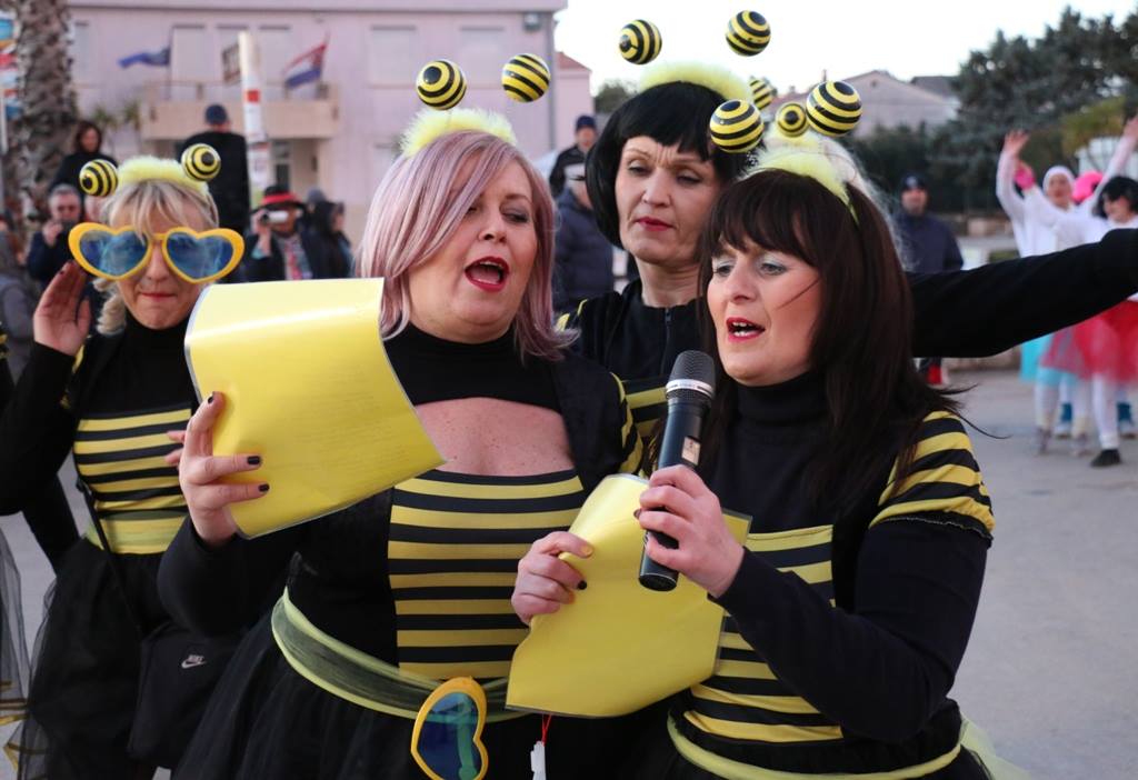 2. Međunarodna karnevalska povorka Virskih maškara