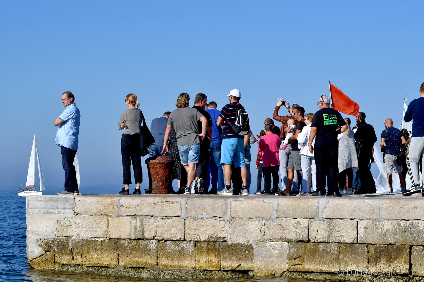 Sva lica “Zadarske koke” Sva lica “Zadarske koke”