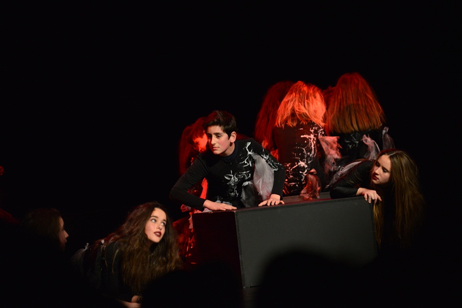 Premijera predstave “U sjeni” udruge “Igrajmo se” Premijera predstave “U sjeni” udruge “Igrajmo se”