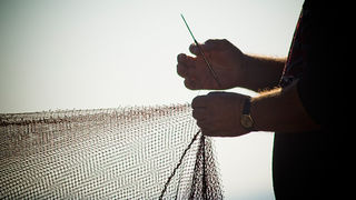 Ribar krpa mrižu svoju (foto:Saša Čuka) Ribar krpa mrižu svoju (foto:Saša Čuka)