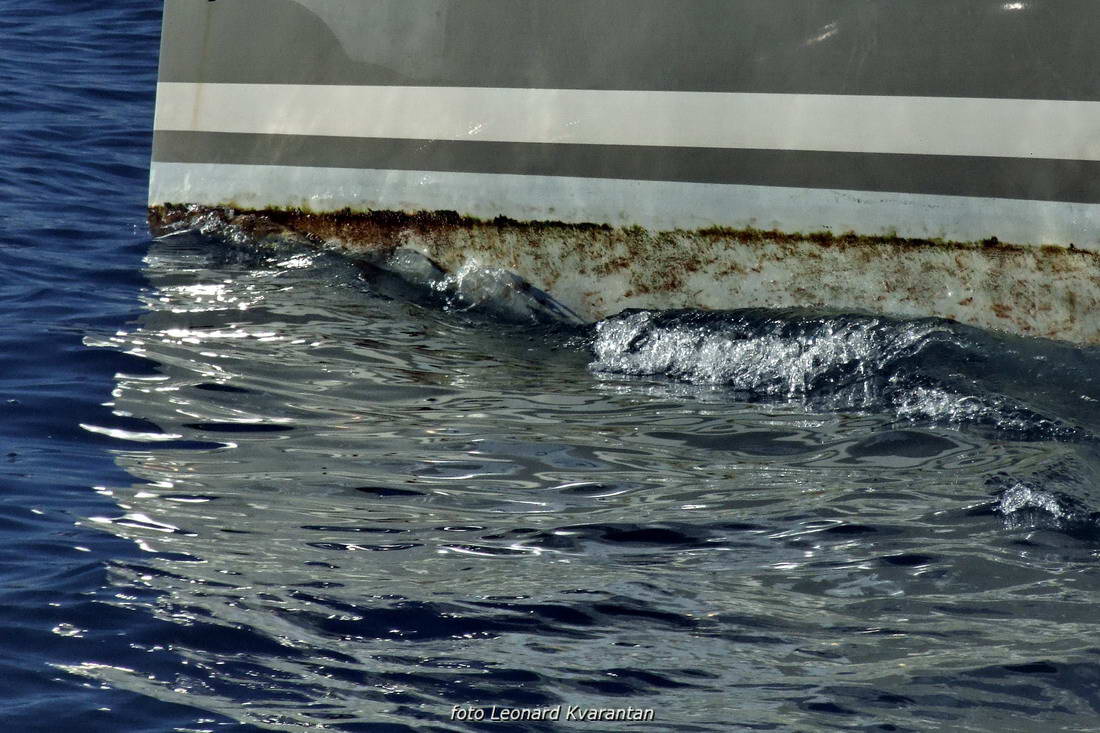 Božićna regata 2012, Foto: Leonard Kvarantan Božićna regata 2012, Foto: Leonard Kvarantan