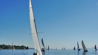 “Zadarska koka”: Regata za sve generacije snimljena iz “koke” “Zadarska koka”: Regata za sve generacije snimljena iz “koke”