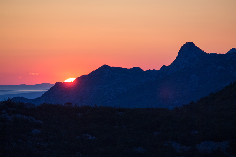 OLYMPUS DIGITAL CAMERA OLYMPUS DIGITAL CAMERA