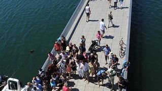 Milenijski skok KUD-a Bleke i konji (foto:Saša Čuka) Milenijski skok KUD-a Bleke i konji (foto:Saša Čuka)