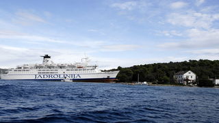 Image 1057527 (auto)