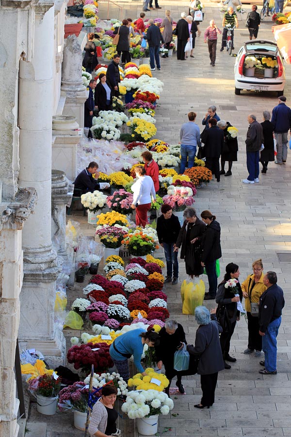 Započela prodaja cvijeća na zadarskoj tržnici, foto-I. Perinčić Započela prodaja cvijeća na zadarskoj tržnici, foto-I. Perinčić