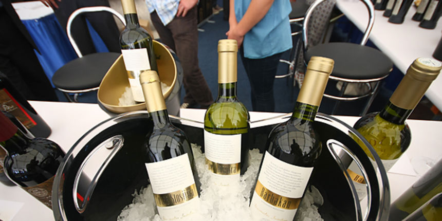 Donat wine festival 2011 (foto:Saša Čuka) Donat wine festival 2011 (foto:Saša Čuka)