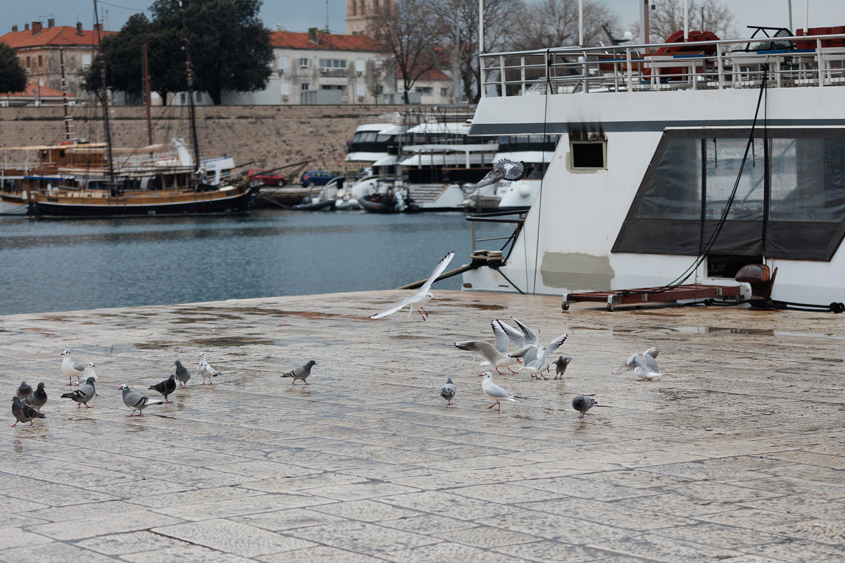 Đir po gradu, subotnja špica, 8. veljače 2025.