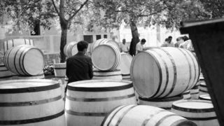 Ante Brkan – Na tržnici