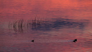 OLYMPUS DIGITAL CAMERA OLYMPUS DIGITAL CAMERA