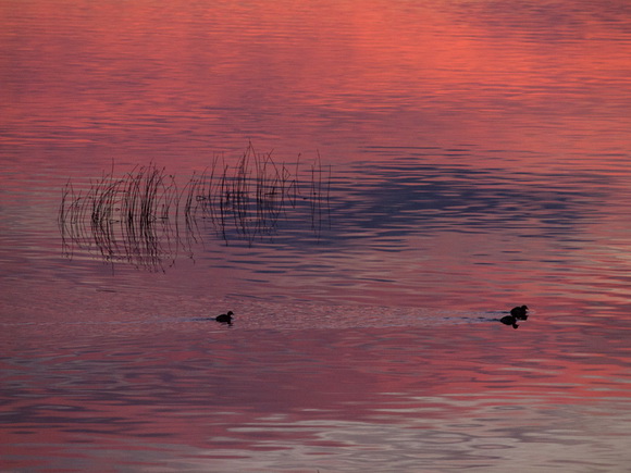 OLYMPUS DIGITAL CAMERA OLYMPUS DIGITAL CAMERA