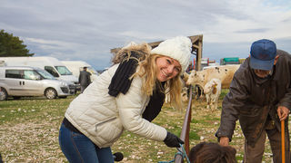 Tradicionalni Benkovački sajam, foto: Darko Belančić