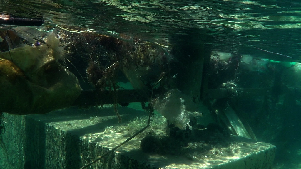 Greenpeace upozorava na problem bacanje plastike u more Greenpeace upozorava na problem bacanje plastike u more