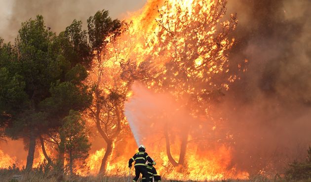 Lozovac: veliki požar zaprijetio kućama, kopnenim snagama pridružila se četiri kanadera