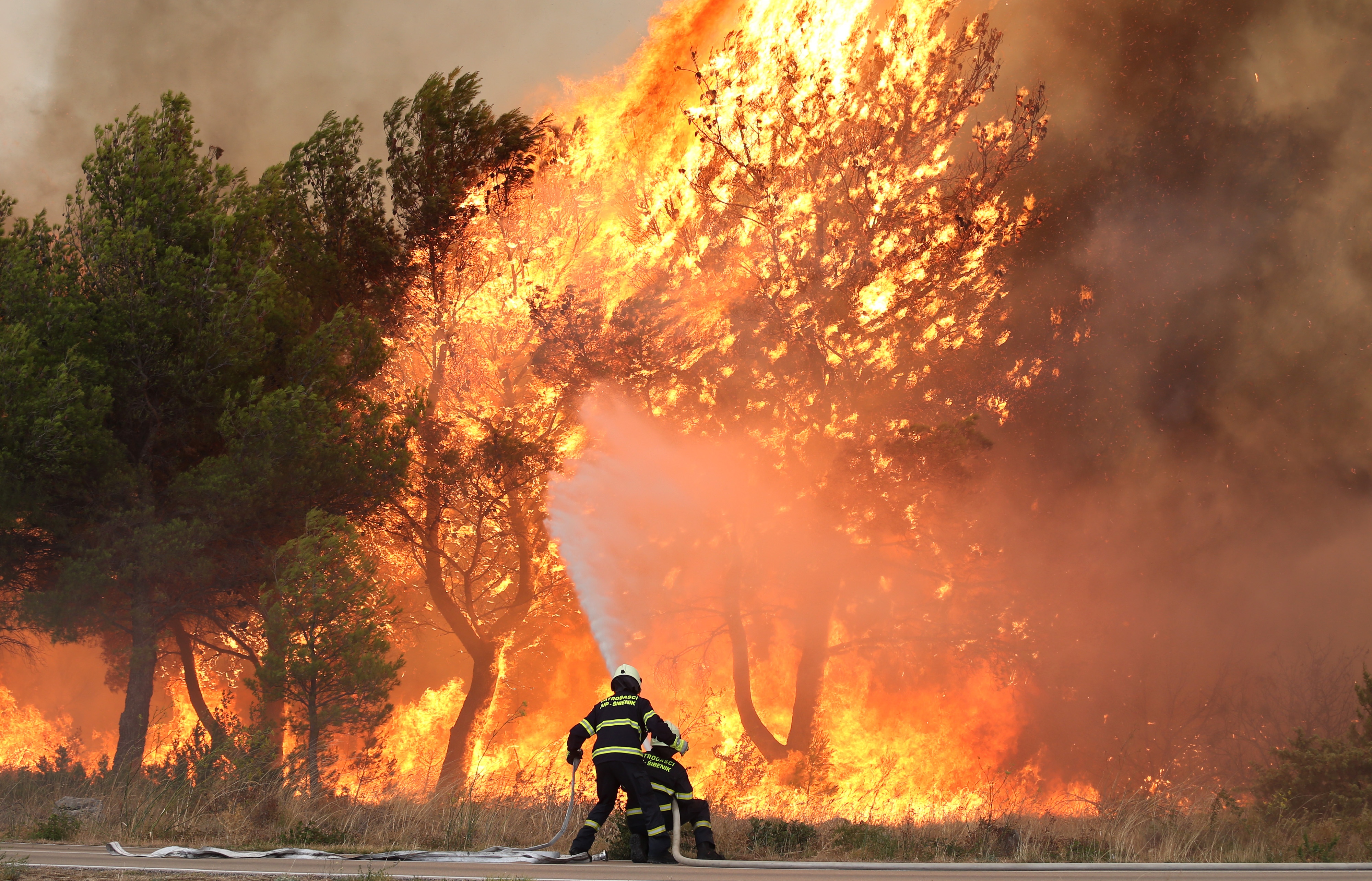 Lozovac: veliki požar zaprijetio kućama, kopnenim snagama pridružila se četiri kanadera Lozovac: veliki požar zaprijetio kućama, kopnenim snagama pridružila se četiri kanadera