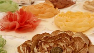 Festival amaterske kulture i kreativnosti Festival amaterske kulture i kreativnosti