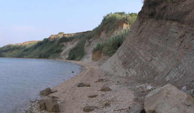 Na Pagu otkriven zub krokodila star 30 milijuna godina!