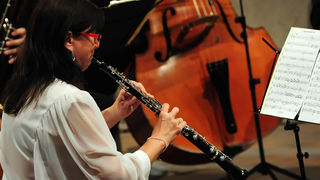 Glazbene večeri u sv. Donatu, praški barokni ansambl, foto: Nenad Marčev