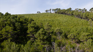 Ugodno prijepodne uz tok rijeke Karešnice i stare zapuštene mlinove, foto: Darko Belančić