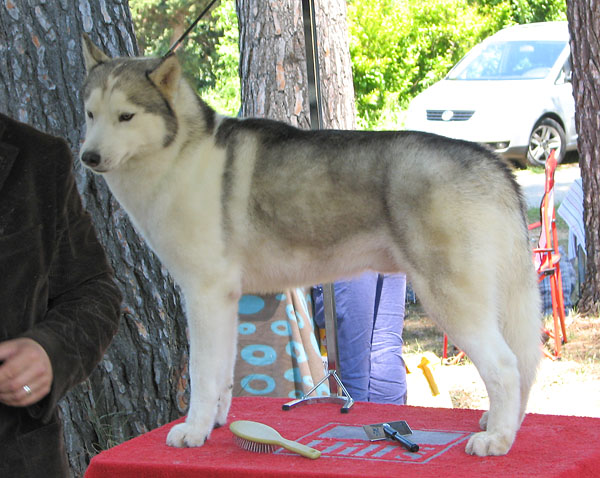 Image 1171089 (auto)