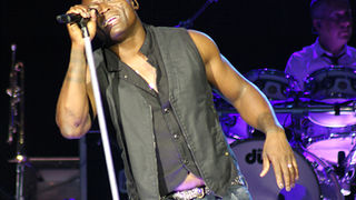 Seal u Zadru 14. srpnja 2010. (foto:Saša Čuka)