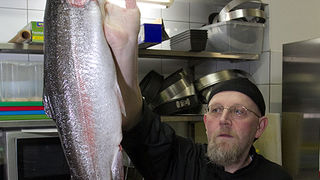 Image 875181 (auto) Image 875181 (auto)