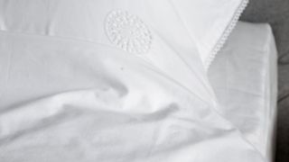 Paška čipka kao dizajnerska inspiracija, Foto: Nikola Zelmanović