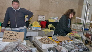 S pjace i peskarije, 24. prosinca 2010., Foto: Leo Banic