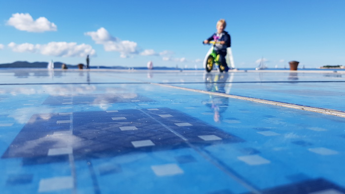 Zadarska Koka 2016. 22. listopada 2016. Foto: Mladen Malik Zadarska Koka 2016. 22. listopada 2016. Foto: Mladen Malik