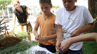 GKZD: Dječja radionica izrade stručaka i jastučića od lavande, Foto: Lucija Juravić