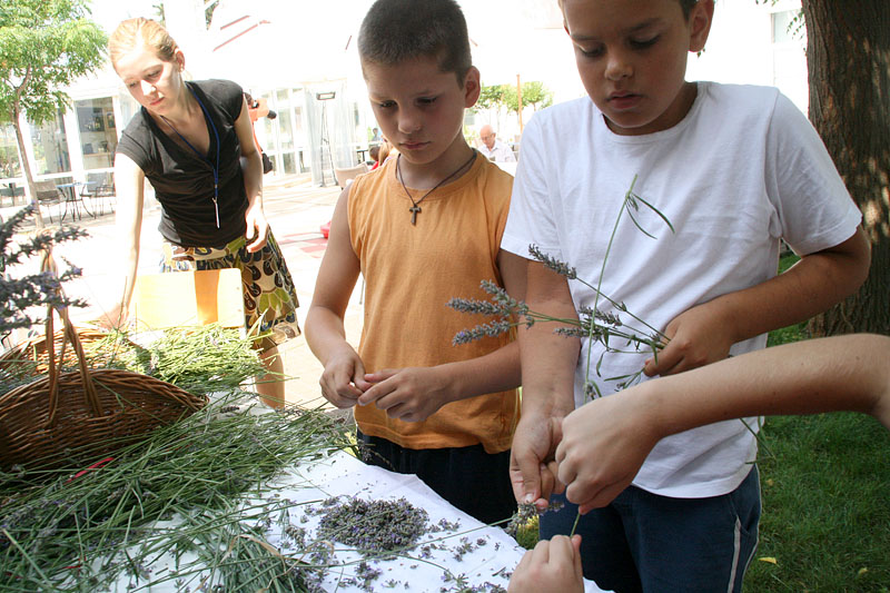 GKZD: Dječja radionica izrade stručaka i jastučića od lavande, Foto: Lucija Juravić