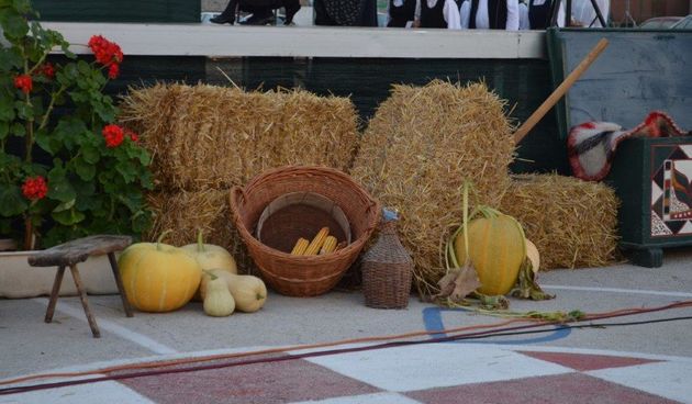Folklor, ravni kotari, običaji, tradicija