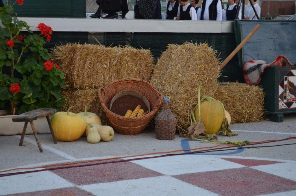 Folklor, ravni kotari, običaji, tradicija