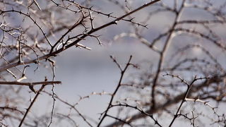 Magla promijenila uobičajene prizore grada i okolice, Foto: Leonard Kvarantan Magla promijenila uobičajene prizore grada i okolice, Foto: Leonard Kvarantan