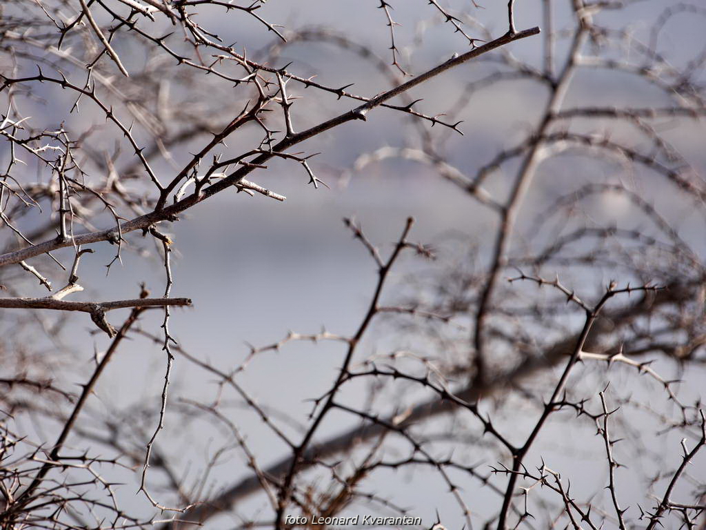Magla promijenila uobičajene prizore grada i okolice, Foto: Leonard Kvarantan Magla promijenila uobičajene prizore grada i okolice, Foto: Leonard Kvarantan