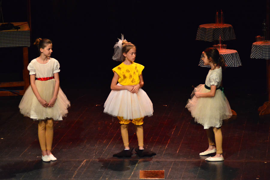 Premijera predstave Ružno pače u izvedbi radionice Donatolina